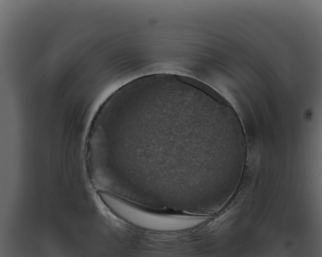 X0000093491144200710191222