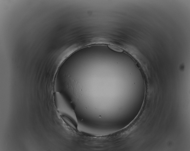 X0000093491145200710191222