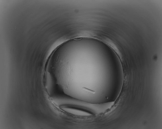 X0000093491146200710191222