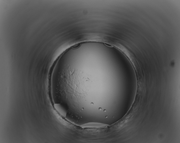 X0000093491147200710191222