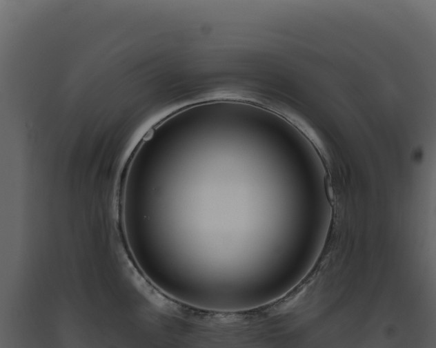 X0000093491148200710191222