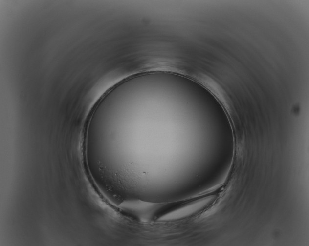 X0000093491149200710191222