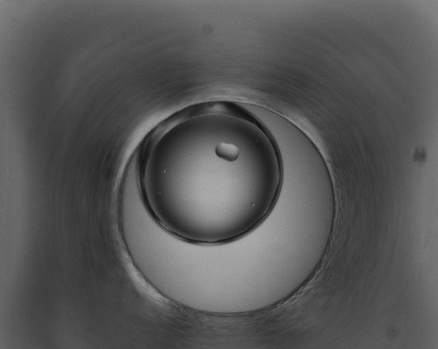 X0000093491152200710191222