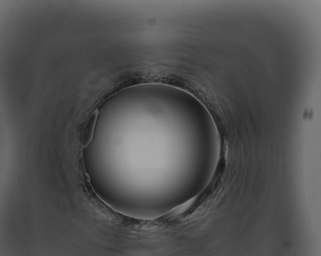 X0000093491153200710191221