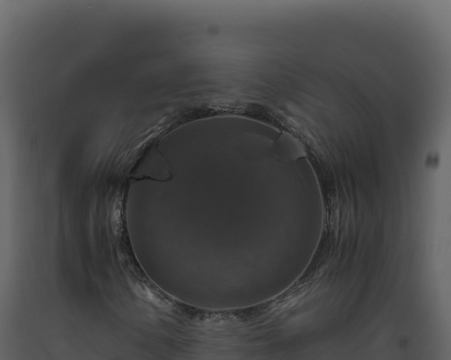 X0000093491154200710191221