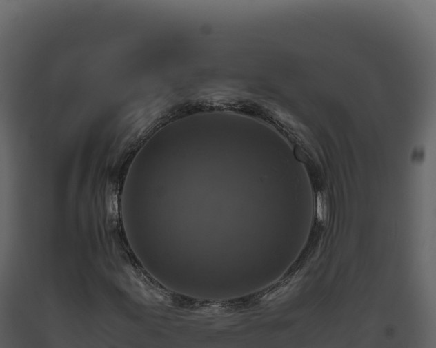 X0000093491155200710191221