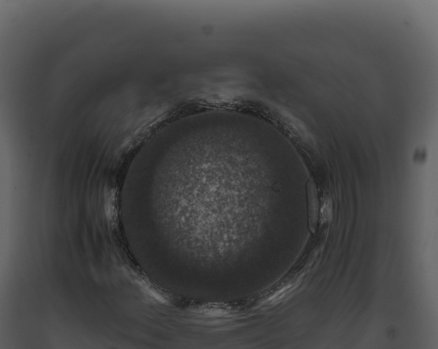 X0000093491156200710191221