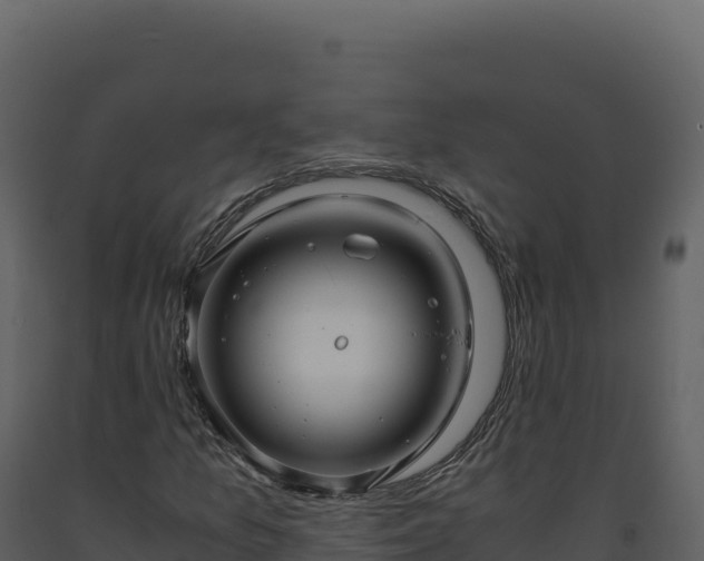X0000093491157200710191221
