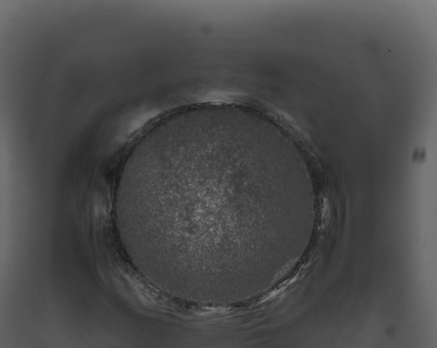 X0000093491158200710191221