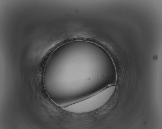 X0000093491159200710191221