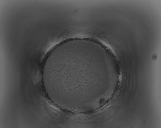 X0000093491160200710191221