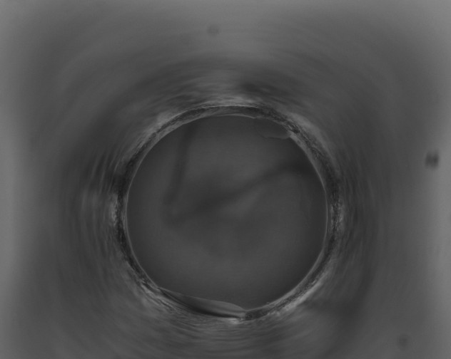 X0000093491161200710191221
