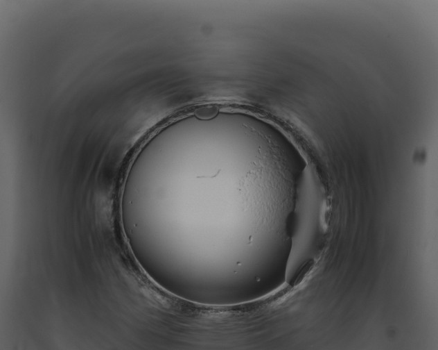 X0000093491162200710191221