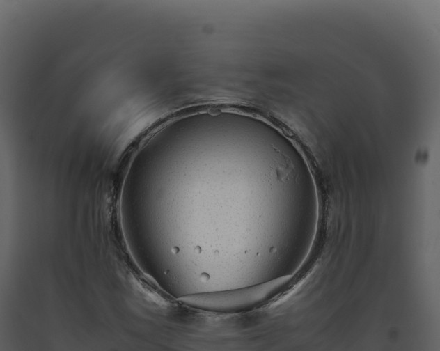 X0000093491163200710191221