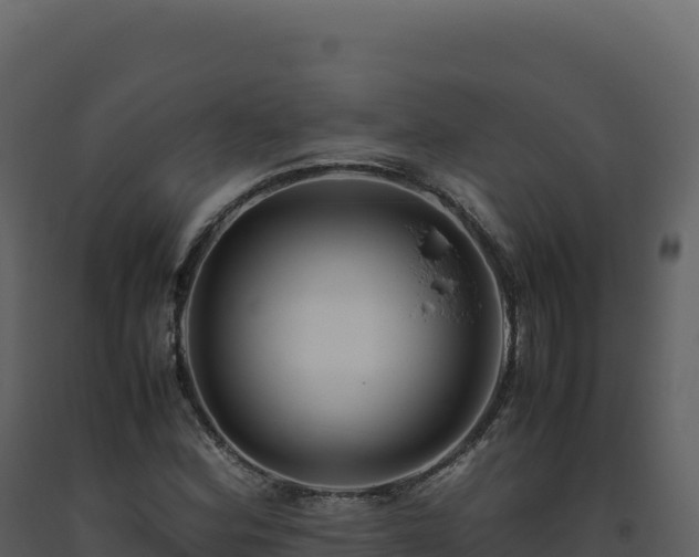 X0000093491164200710191221