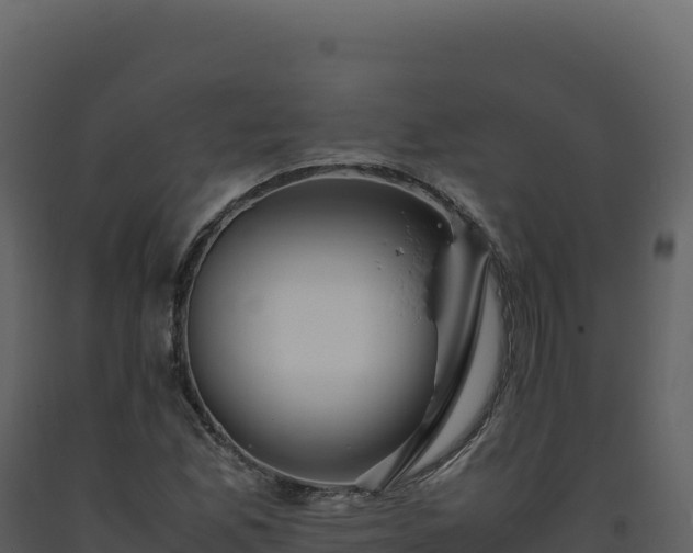 X0000093491165200710191221