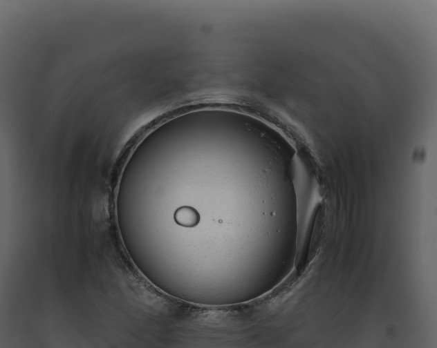 X0000093491166200710191221