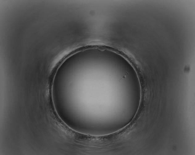 X0000093491167200710191221