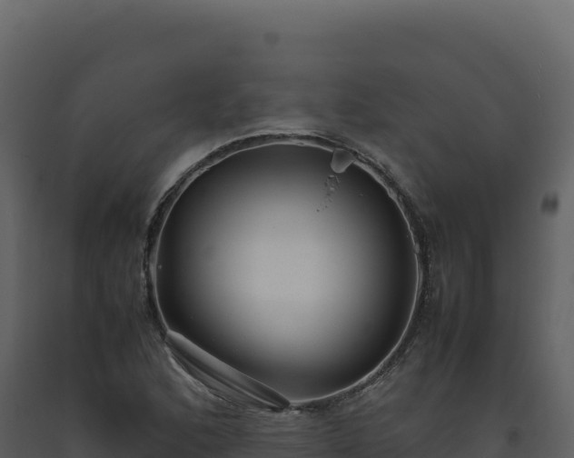 X0000093491168200710191221