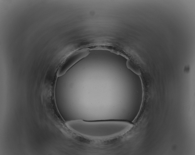X0000093491169200710191221