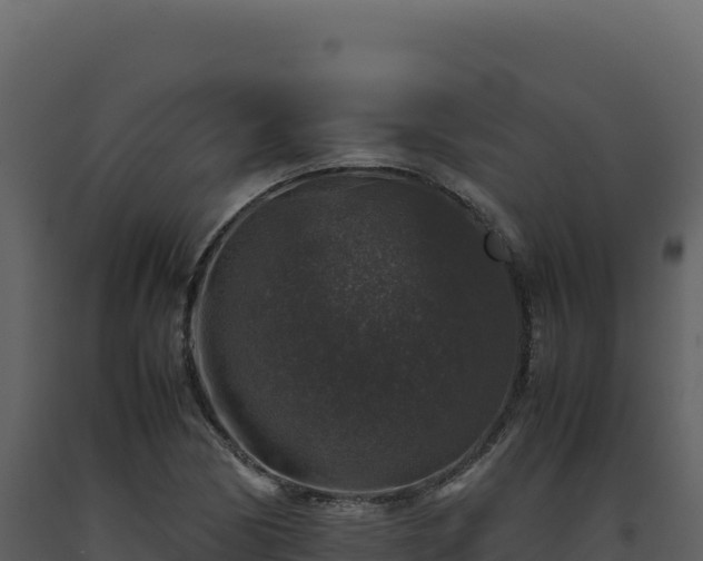 X0000093491170200710191221