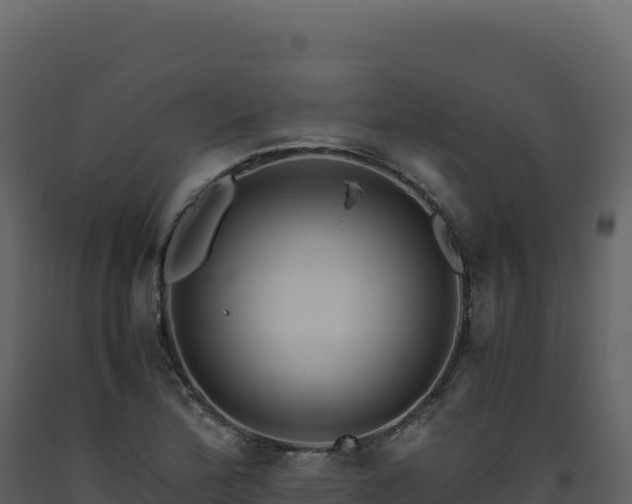 X0000093491172200710191221