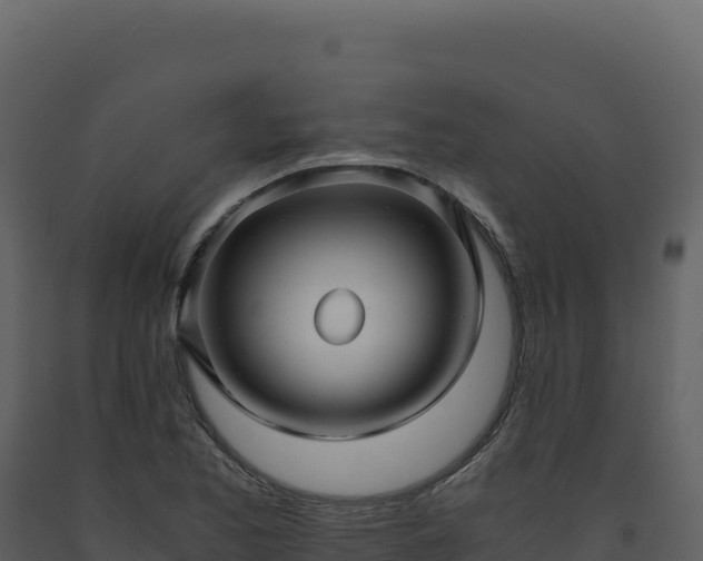 X0000093491173200710191221