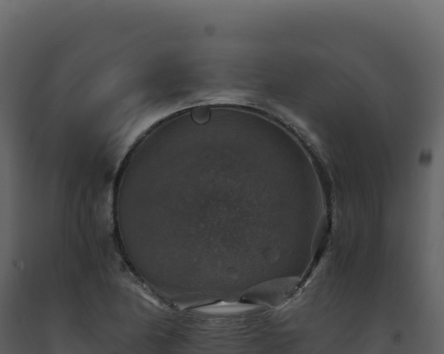 X0000093491174200710191221