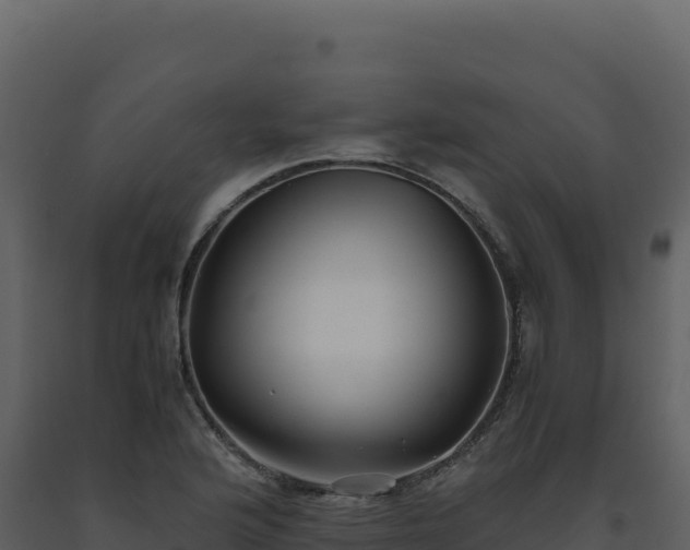 X0000093491176200710191221