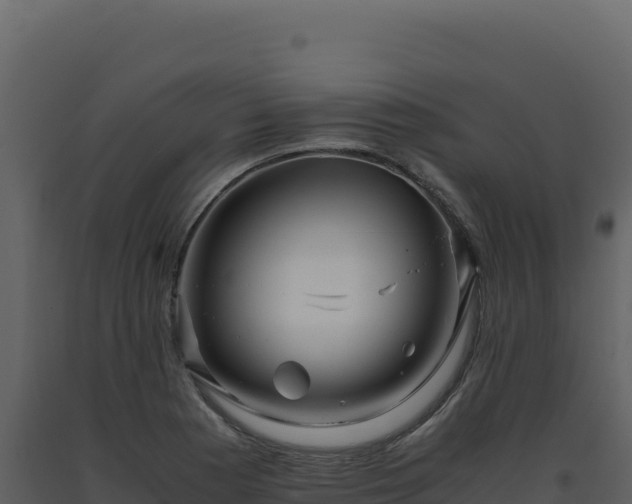X0000093491177200710191221