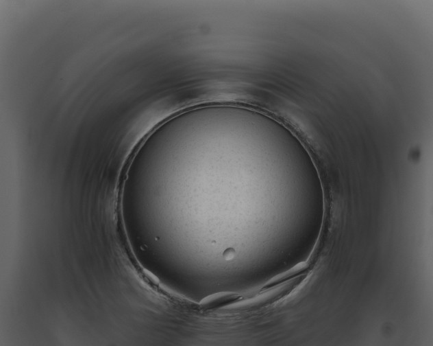 X0000093491178200710191221
