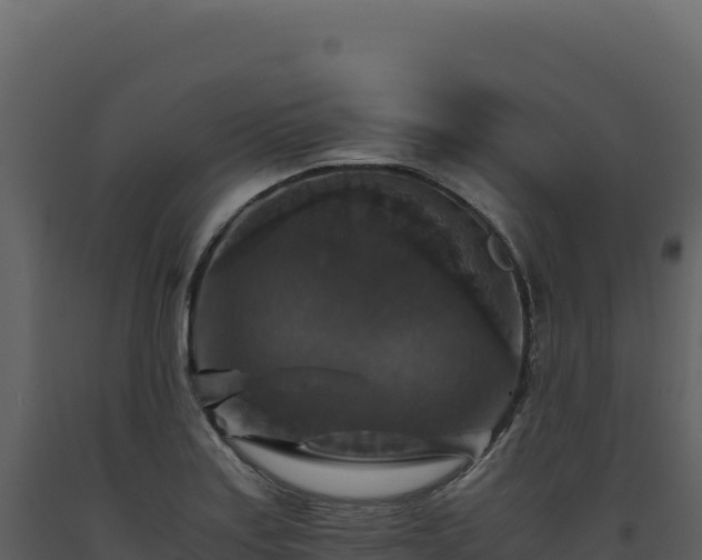 X0000093491179200710191221