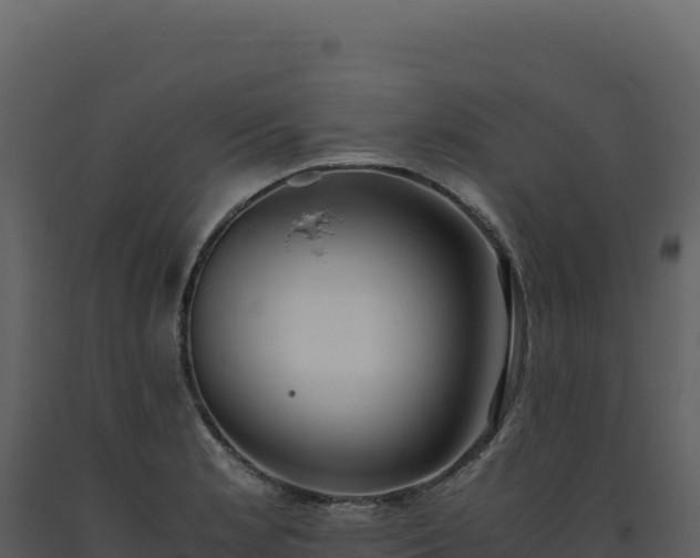 X0000093491181200710191221