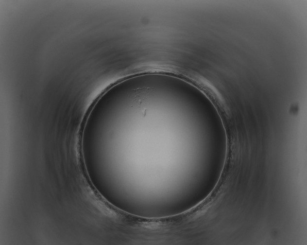 X0000093491182200710191221