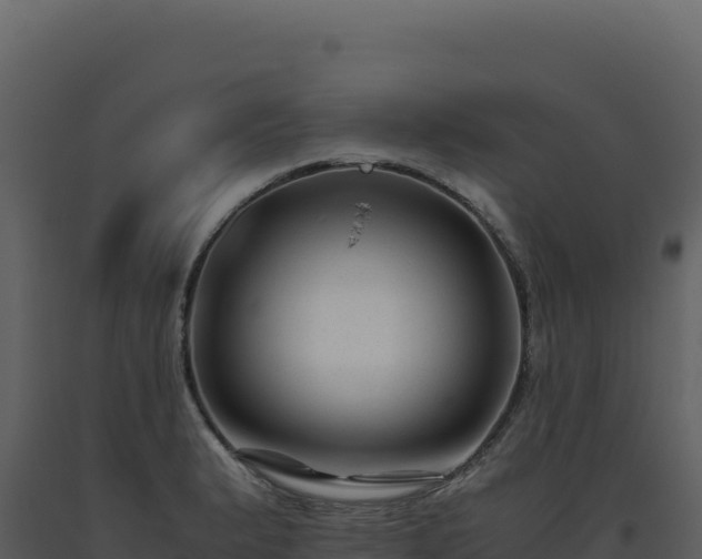 X0000093491183200710191221