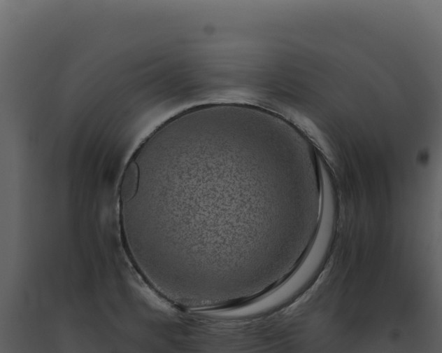 X0000093491184200710191221