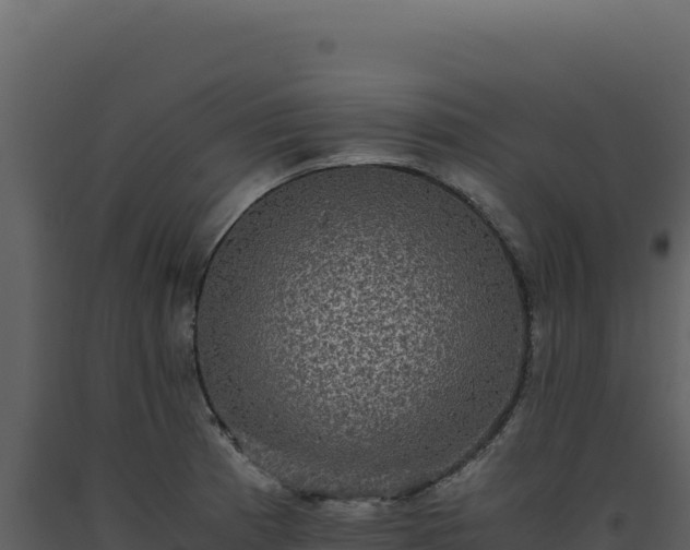 X0000093491185200710191221