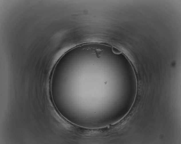 X0000093491187200710191221