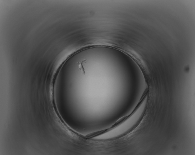 X0000093491188200710191221