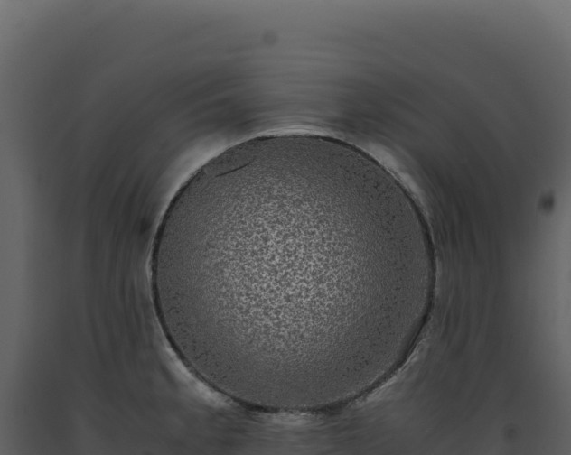 X0000093491189200710191221