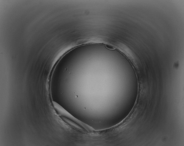 X0000093491190200710191221