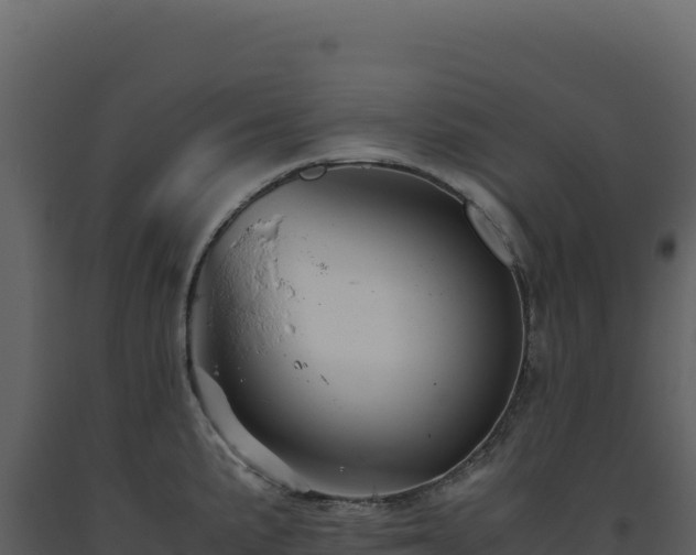 X0000093491191200710191221