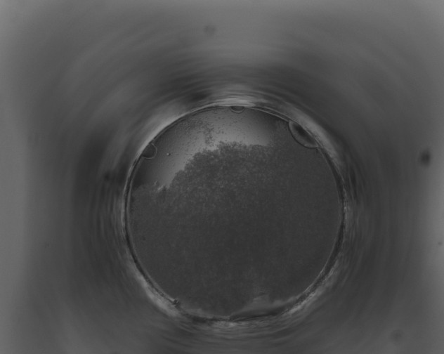 X0000093491194200710191221