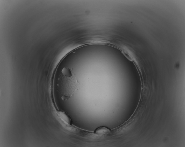 X0000093491195200710191221