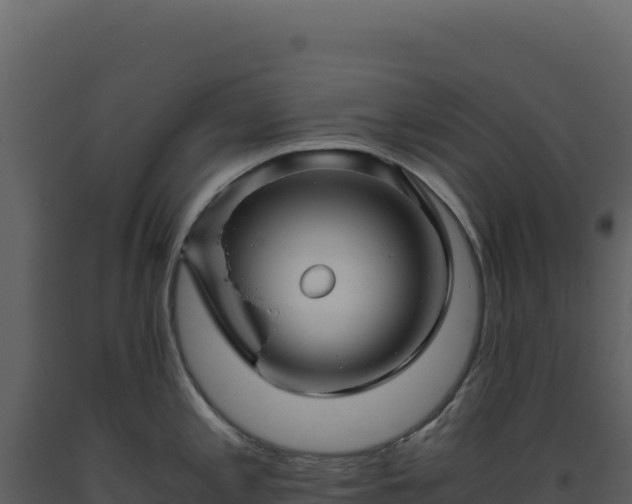 X0000093491197200710191221