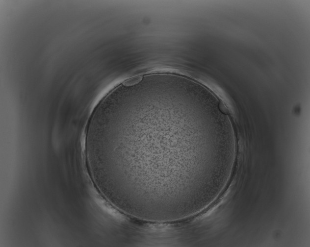 X0000093491198200710191221