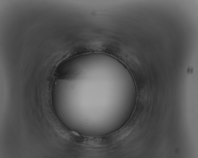X0000093491201200710191220