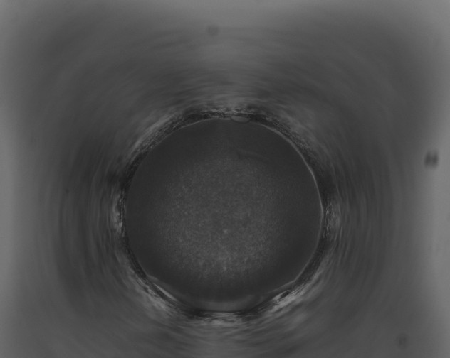 X0000093491202200710191220