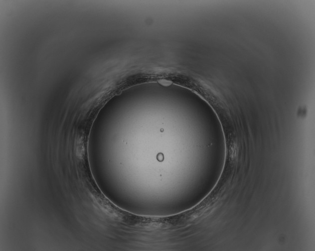 X0000093491204200710191220
