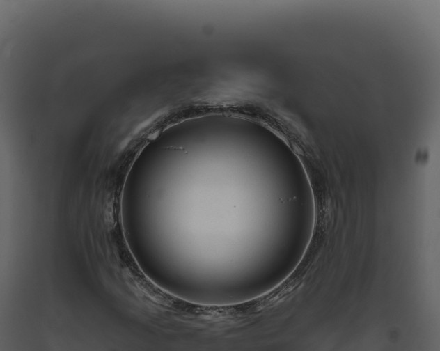 X0000093491205200710191220